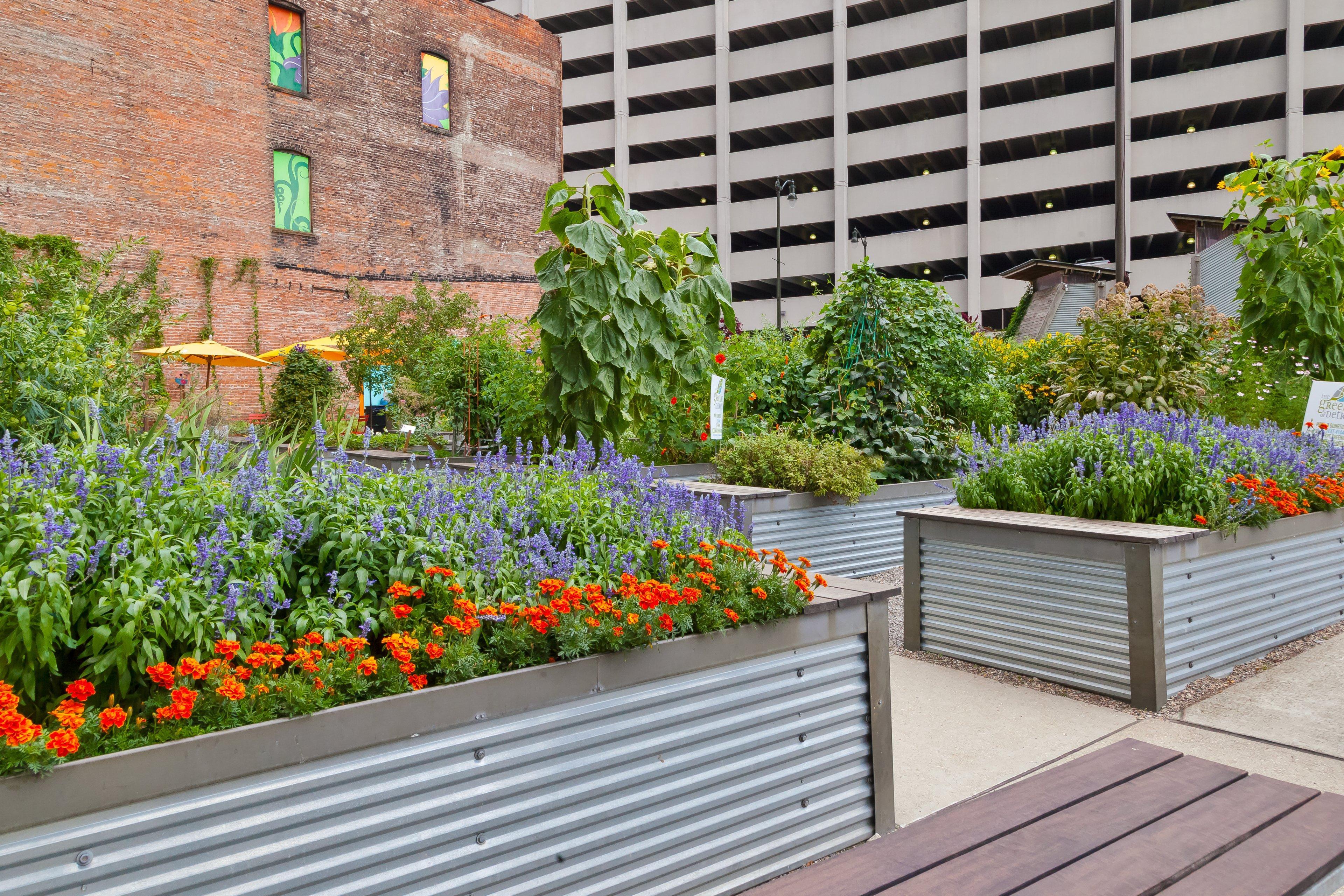 Hotel Indigo Detroit Downtown By Ihg Bagian luar foto
